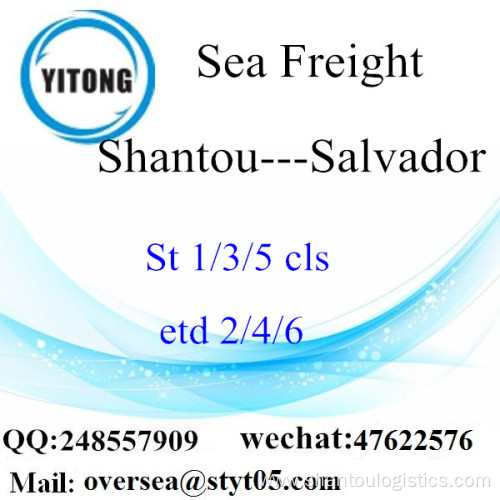 Shantou Port LCL Consolidation To Salvador